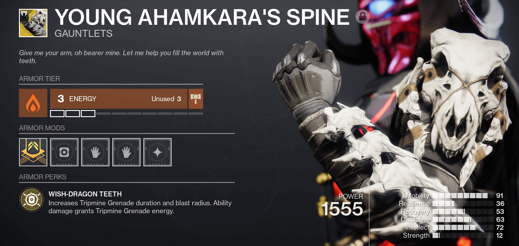 young ahamkaras spine