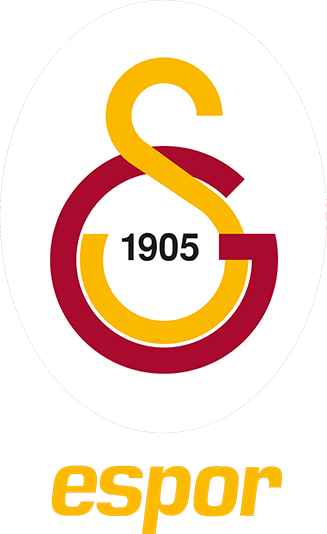 galatasaray esports