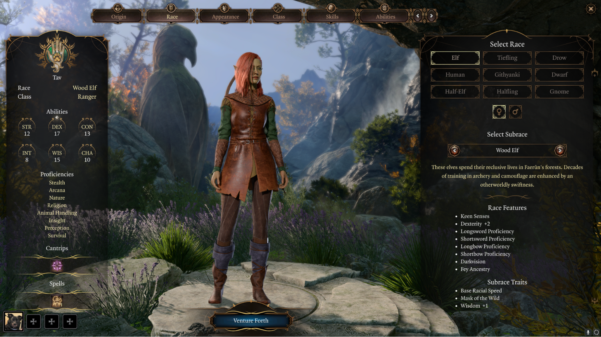 21dff6a2-wood-elf-beast-master wood elf beast master