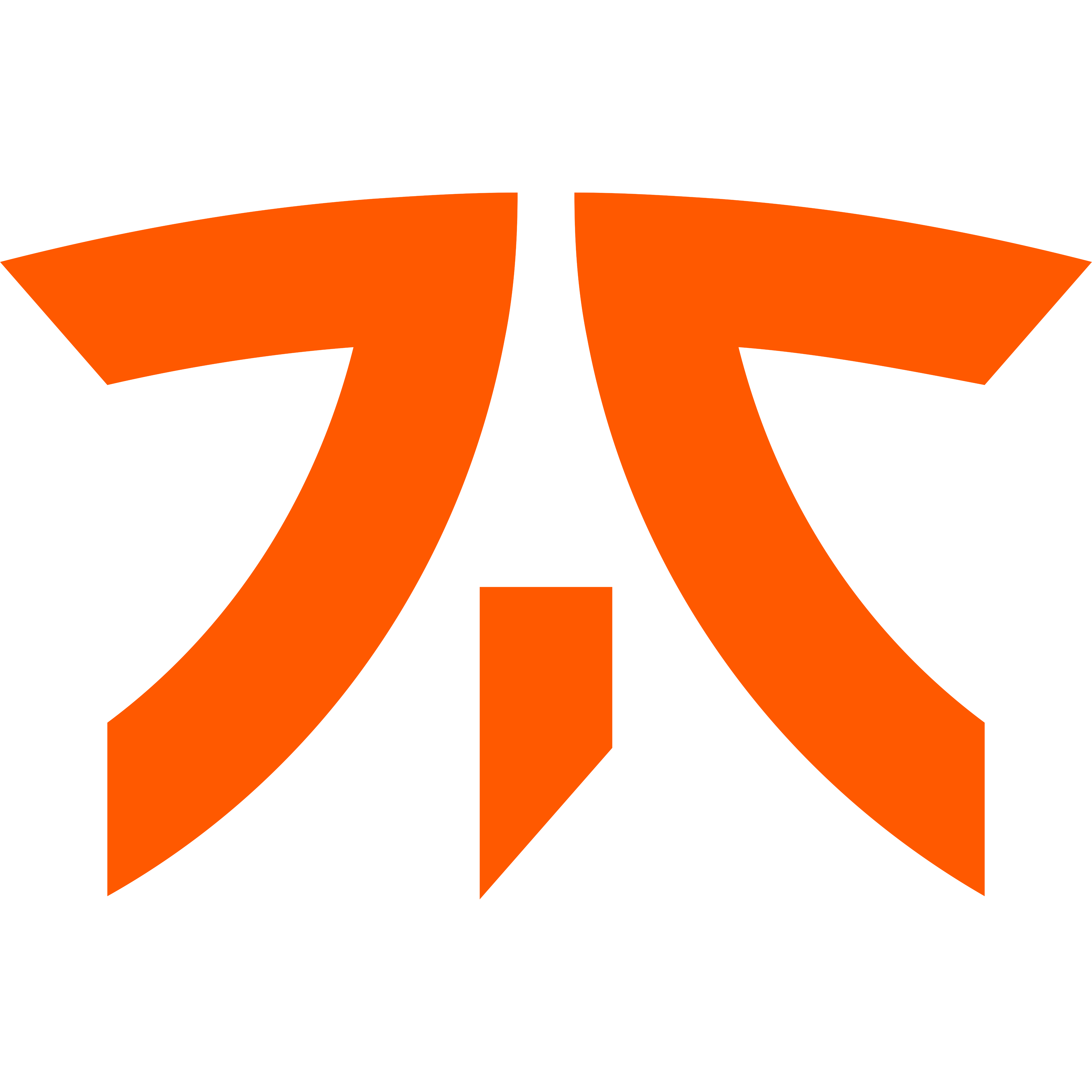 fnatic logo