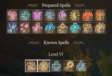 moon druid level 11 spelllist