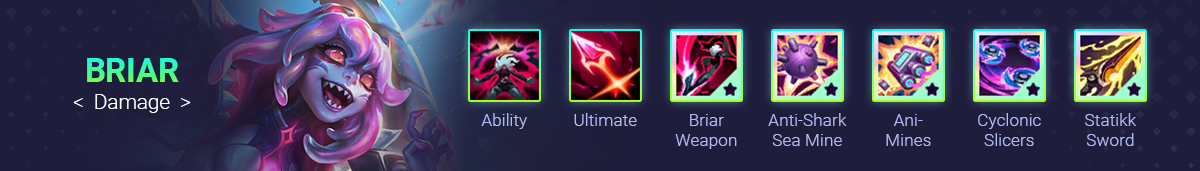 briar-swarmbuildbreakdown