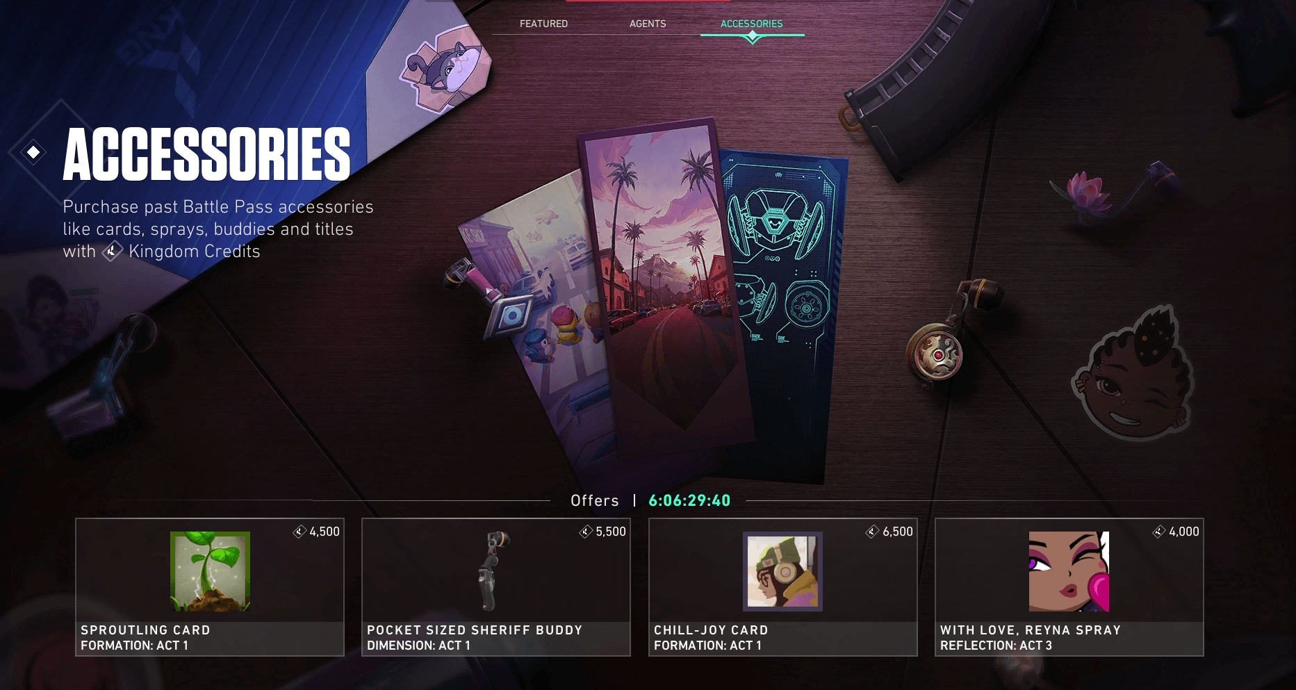 d7cb54e8-accessories-store accessories store