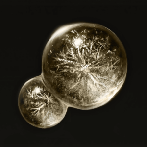 dexterity-knot-crystal-tear-300x300-5 Dexterity-Knot Crystal Tear