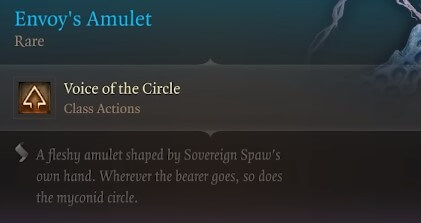 envoy's amulet