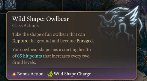 wild shape owlbear
