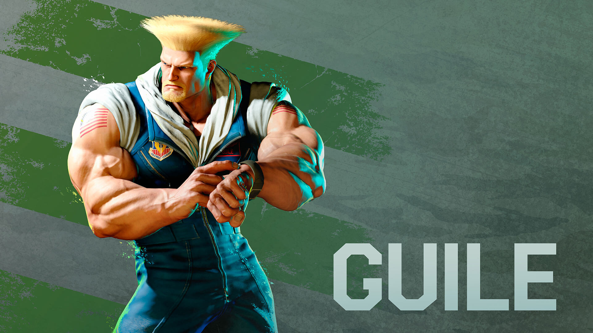 guile sf6 profile