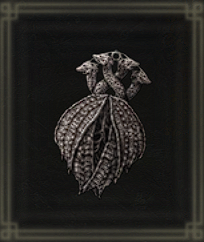 Old Lord’s Talisman