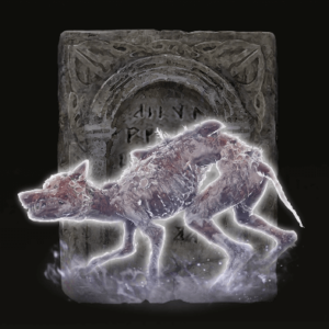 rotten-stray-ashes-300x300-1 Rotten Stray Ashes