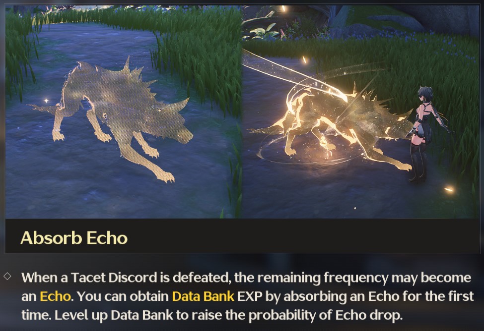 Wuthering Waves Echo Tutorial