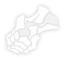 Basic Attack - Fist of Conviction